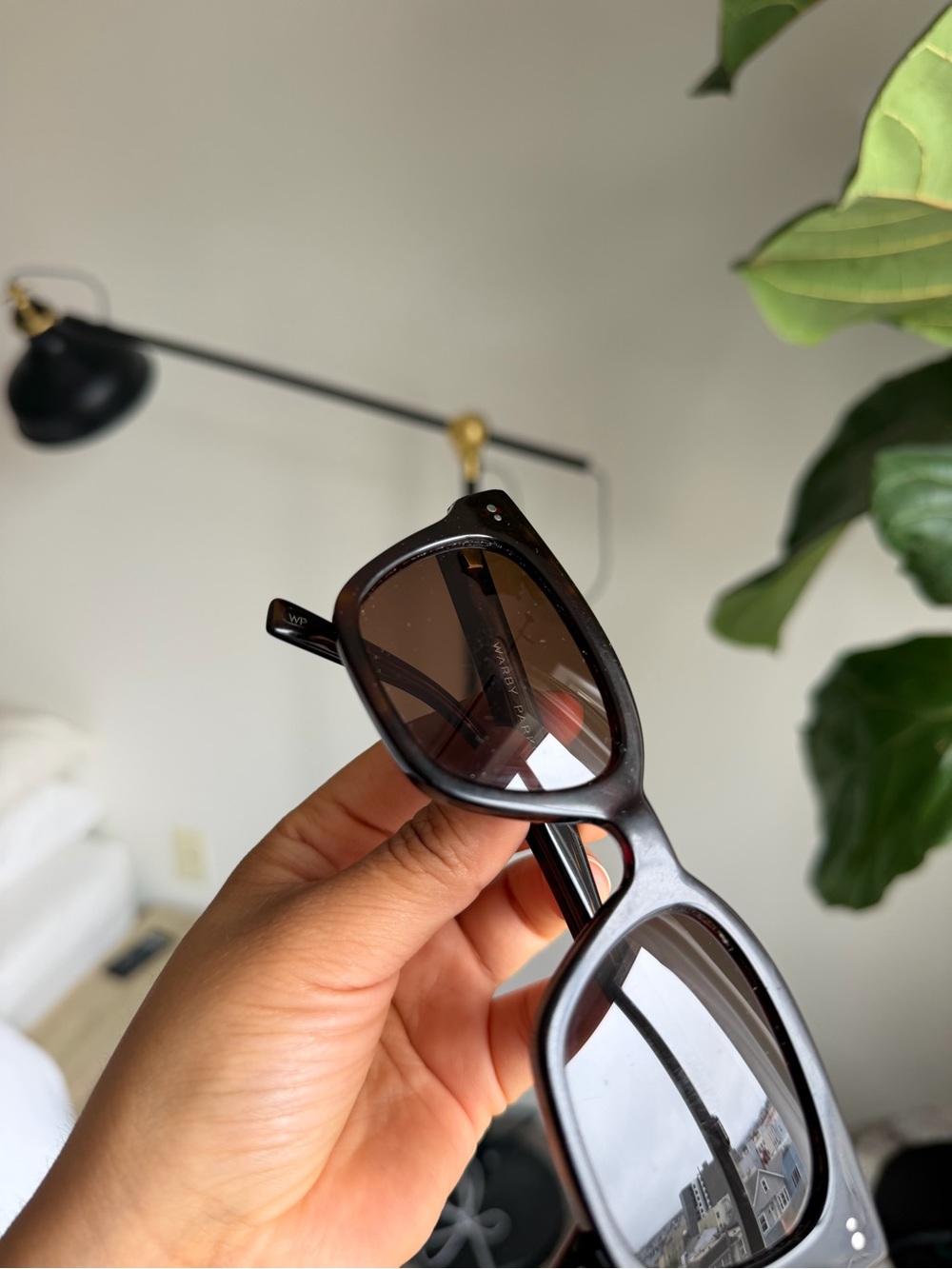 Warby Parker ‘Beale’ tortoise Sunglasses